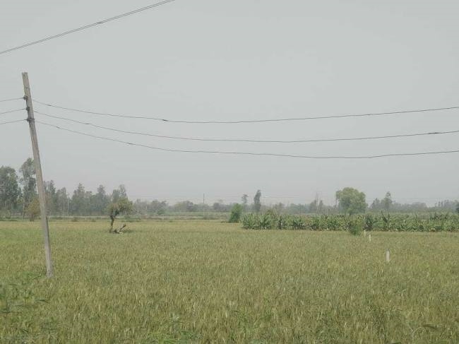 farmers may get hit by shabby wires