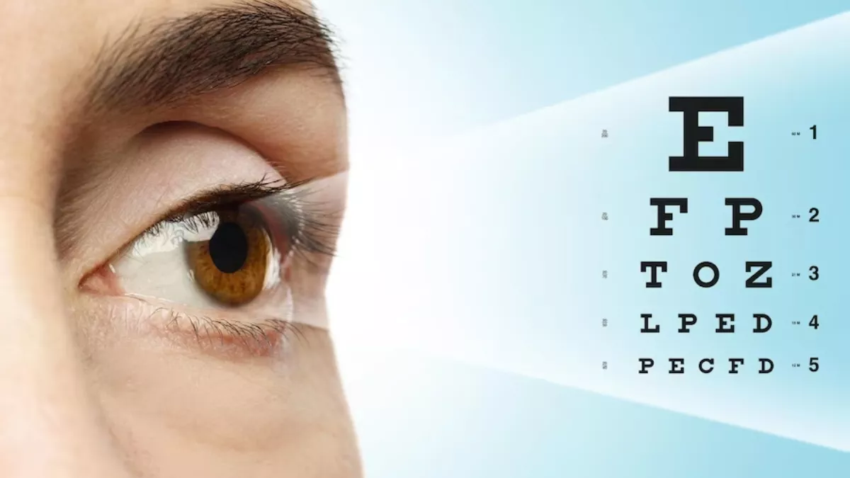Foods For Eyesight:  इन फूड आइटम्स के सेवन से उतर जाएगा चश्मा, बढ़ेगी आंखों की रोशनी