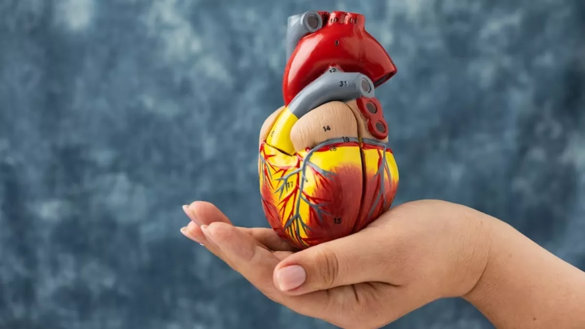 Heart Health: दिल का रखना है ख्याल, तो आज ही बंद कर दें इन फूड्स का सेवन