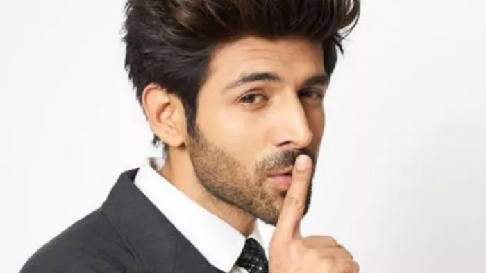 Kartik Aaryan Announced His Next Project Protein Police After Shehzada/Instagram