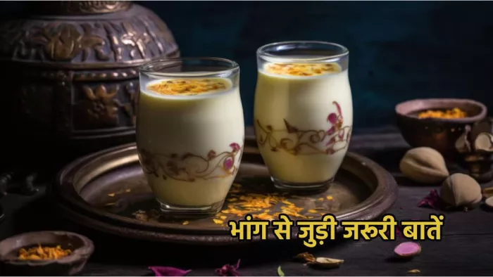 भांग का सेवन करने से पहले जान लें कुछ जरूरी बातें