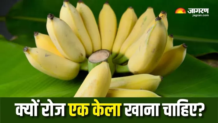 Banana Benefits: रोज एक केला खाने से आपकी सेहत में होगें कमाल के सुधार (Picture Courtesy: Freepik)