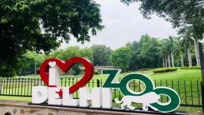दिल्ली चिड़ियाघर में वन्यजीवों के साथ अत्याचार के आरोप।
