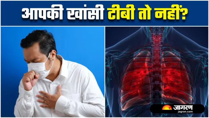 World TB Day 2025: कैसे पता करें टीबी है या साधारण खांसी? डॉक्टर ने समझाया दोनों का फर्क (Image: Freepik)