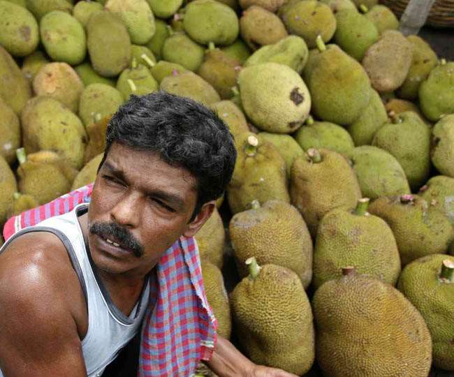कटहल के बीजों को रात में भिगोकर सुबह खाने से इससे भूख बढ़ती है।