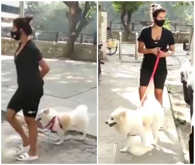 कोरोना कर्फ्यू के बीच कैस्पर को घुमाने निकलीं मलाइका अरोड़ा, जमकर हुईं ट्रोल