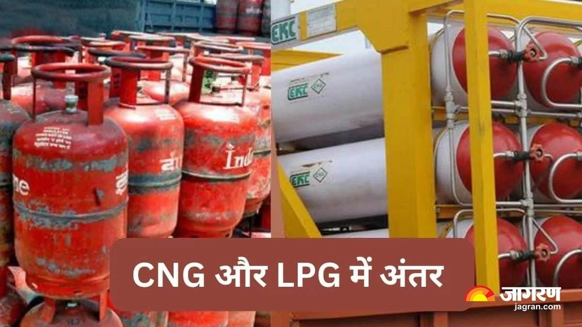 CNG और LPG गैस में क्या होता है अंतर, आखिर क्यों कुकिंग के लिए इस्तेमाल