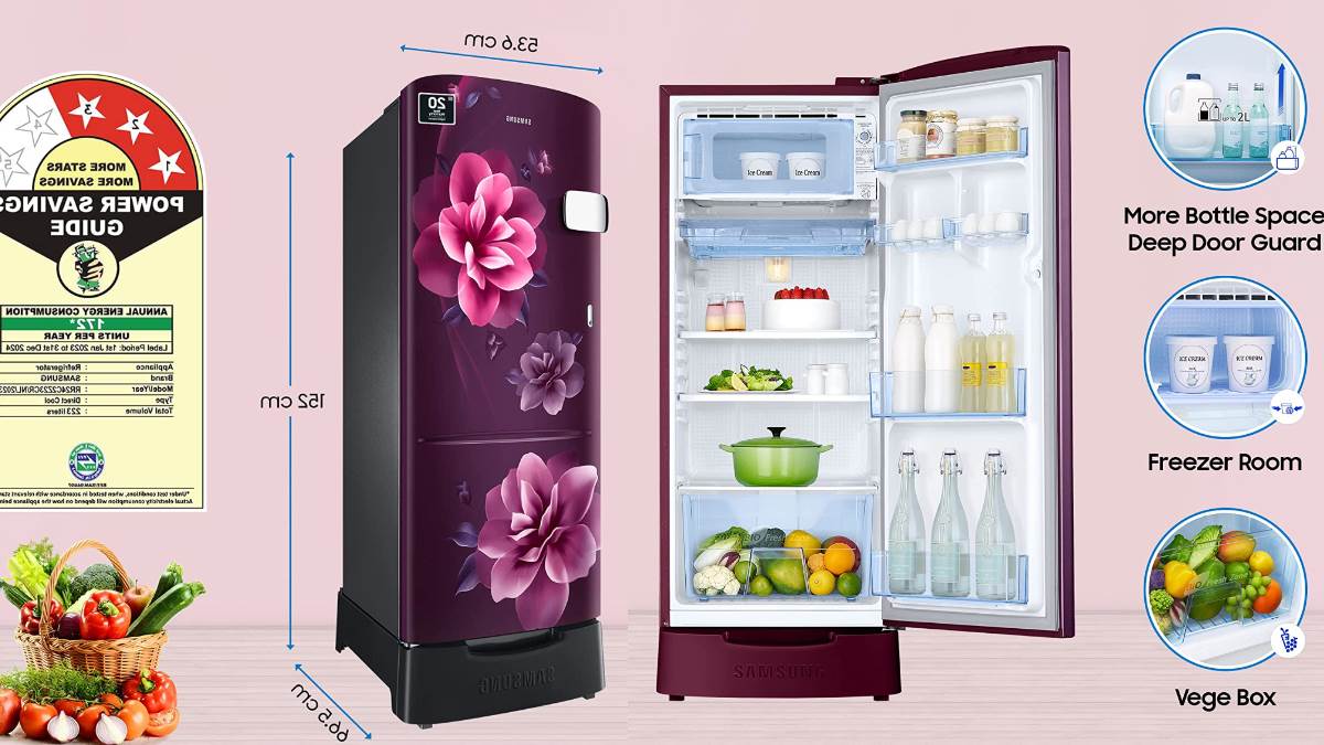 Samsung Refrigerator single door: कंप्रेसर वारंटी और इनवर्टर कनेक्टिविटी के साथ आते हैं ये रेफ्रिजरेटर