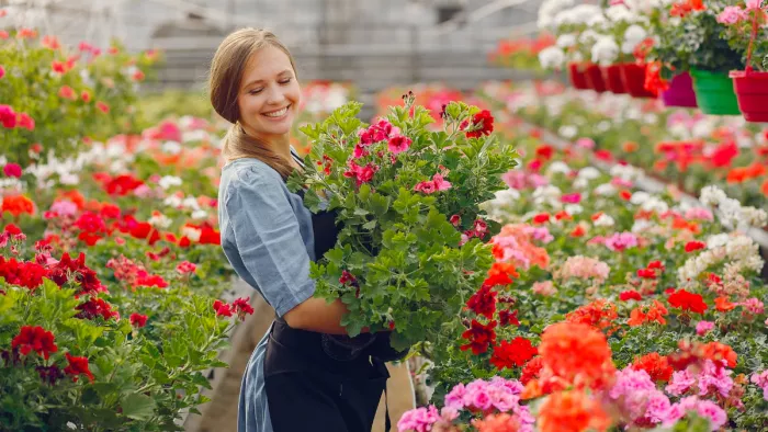 Summer Flowering Plants: गर्मियों में अपने बागीचे को खूबसूरत बनाने के लिए लगाएं ये प्लांट्स