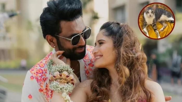 बिल्ली ने बजाई आरती सिंह के वेडिंग आउटफिट की बैंड/ फोटो- Instagram