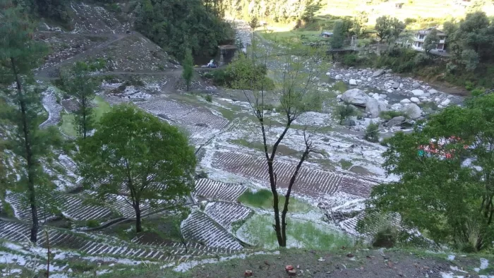 Himachal Weather Today: किसानों पर आफत! आंधी व ओलावृष्टि से खड़ी फसल को नुकसान