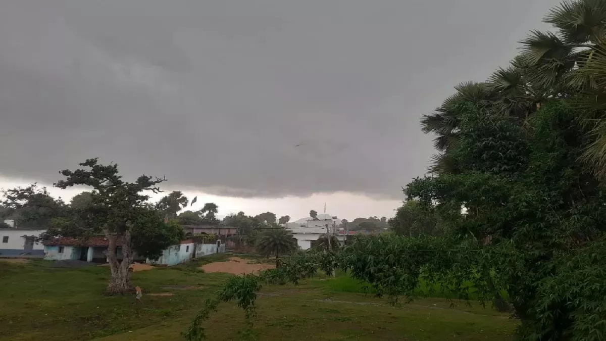 Jharkhand Weather- गिरिडीह में अचानक बदला मौसम, तेज हवा से कई जगह गिरे पेड़; 20 घंटे बाधित रही बिजली आपूर्ति