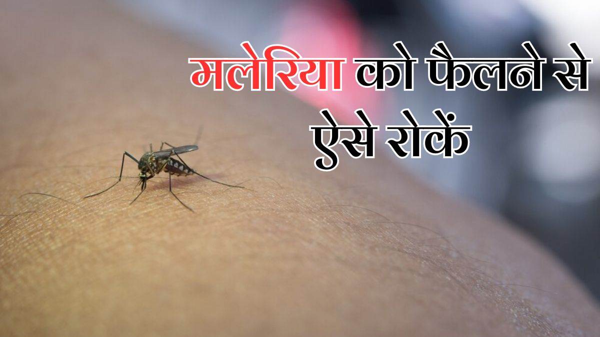 World malaria day 2024 