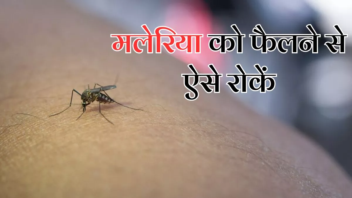 World Malaria Day 2024: जानलेवा बन सकती है मलेरिया की बीमारी, इसे फैलने से रोकने के लिए अपनाएं ये तरीके