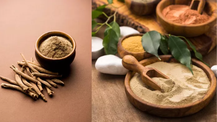शरीर को ढेरों फायदे पहुंचाने में मददगार है अश्वगंधा। (Image Credit- Freepik)