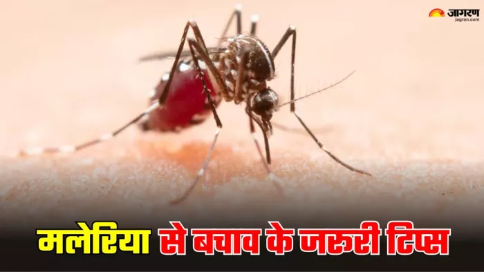 हर साल 25 अप्रैल को वर्ल्ड मलेरिया डे मनाया जाता है। (Image Credit- Freepik)
