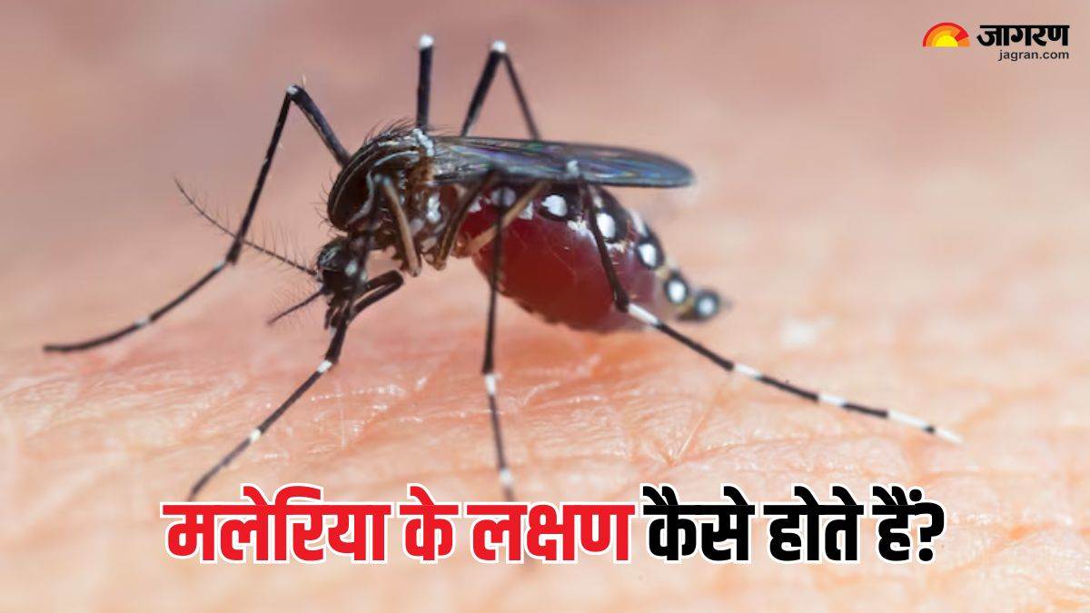 https://www.jagranimages.com/images/newimg/24042025/24_04_2025-malaria_symptoms_1_23924746.jpg