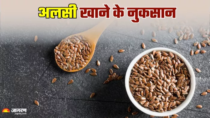 गर्मी में अलसी खाने के नुकसान। (Image Credit- Freepik)