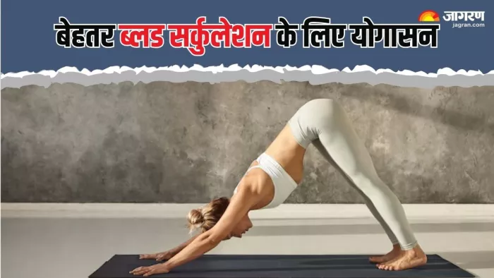Yoga for Blood Circulation: इन योगासनों से ब्लड सर्कुलेशन होगा बेहतर (Picture Courtesy: Freepik)