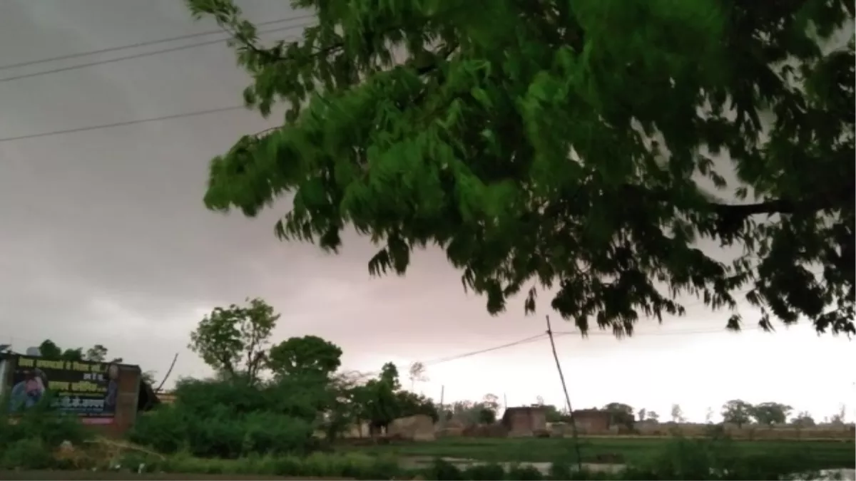 Prayagraj Weather: बारिश ने बदला प्रयागराज का मौसम, अगले तीन दिन मौसम कैसा रहेगा, क्‍या कहता है मौसम विभाग