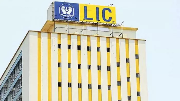 LIC's profit increased five times, dividend of Rs 3 per share was also announced