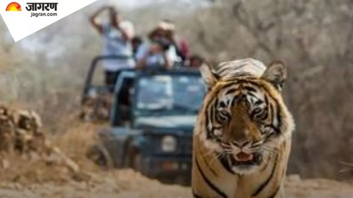 Corbett Tiger Reserve के पास नेशनल हाईवे पर इस बात का नहीं रखा ध्‍यान, तो दर्ज होगा मुकदमा