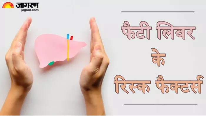 जानें कैसे करें फैटी लिवर से बचाव (Picture Credit- Freepik)