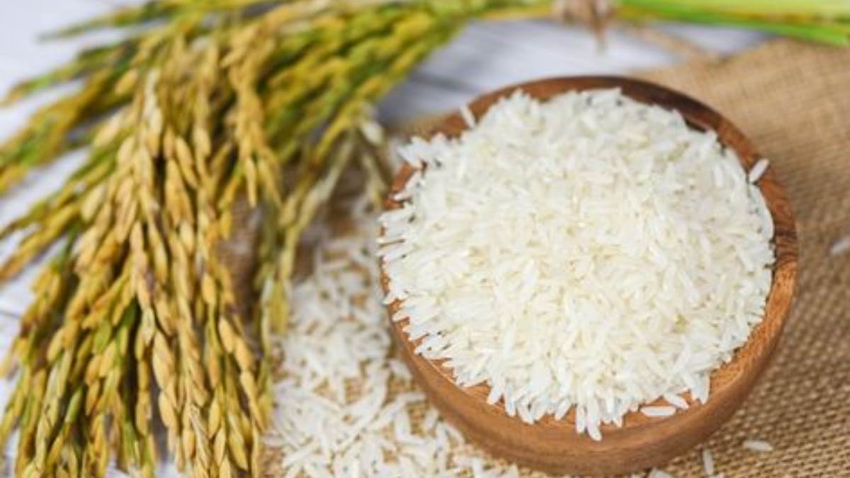 एक-एक दाना चुन-चुन कर लाए है Rice का, जिसमें मिलेगा ऑरिजन्ल और खूशबूदार दोनों का मिश्रण, प्राइस है काफी कम