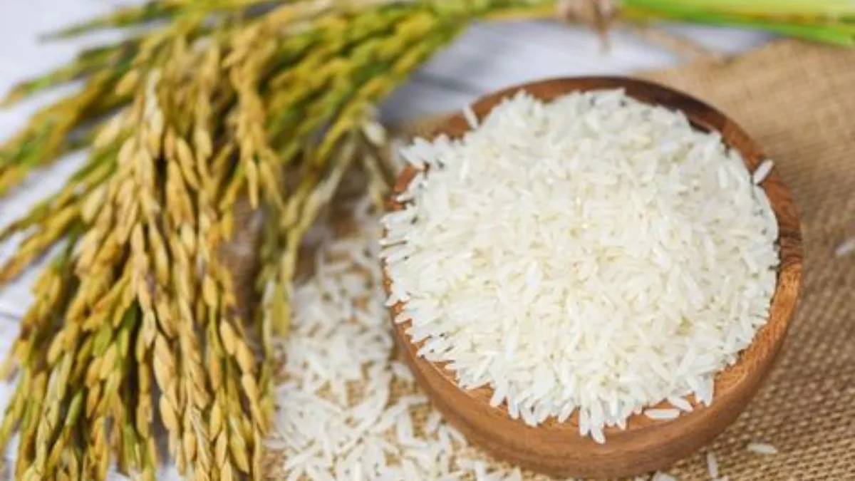 एक-एक दाना चुन-चुन कर लाए है Rice का, जिसमें मिलेगा ऑरिजन्ल और खूशबूदार दोनों का मिश्रण, प्राइस है काफी कम