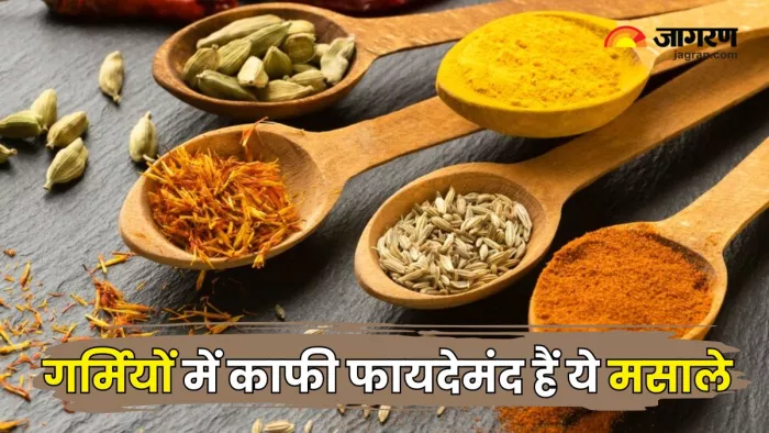 गर्मियों में पेट ठंडा रखेंगे ये मसाले (Picture Courtesy: Freepik)