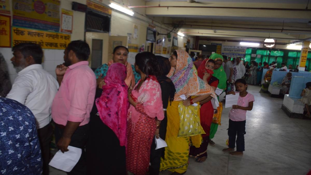 dog attacks surge in hathras anti rabies vaccine demand soars