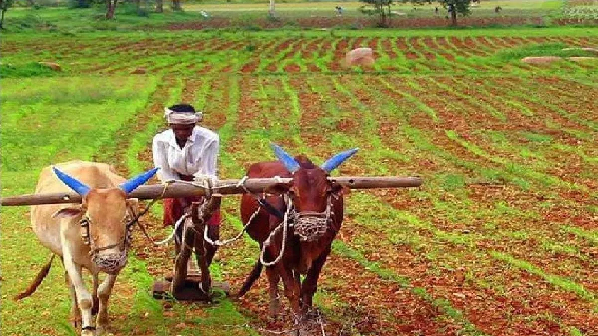 UP: गौमाता से लौटेगा खेतों का सोना! इस जिले के 10 गांवों में शुरू होगी 500 हेक्टेयर में प्राकृतिक खेती