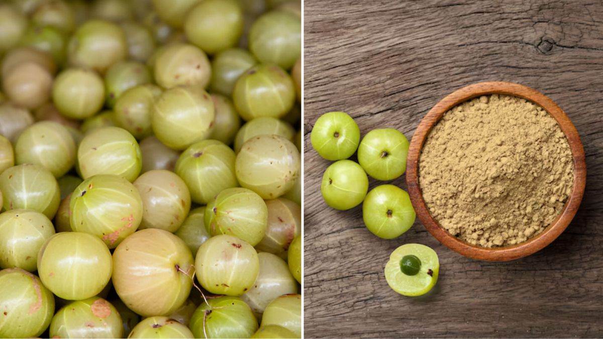 https://www.jagranimages.com/images/newimg/24052025/24_05_2025-raw_amla_vs_amla_powder_23945974.jpg