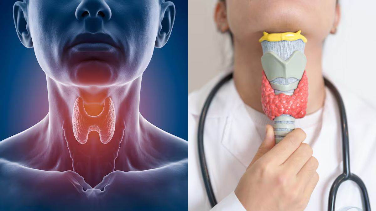 https://www.jagranimages.com/images/newimg/24052025/24_05_2025-world_thyroid_day_2025_23945597.jpg
