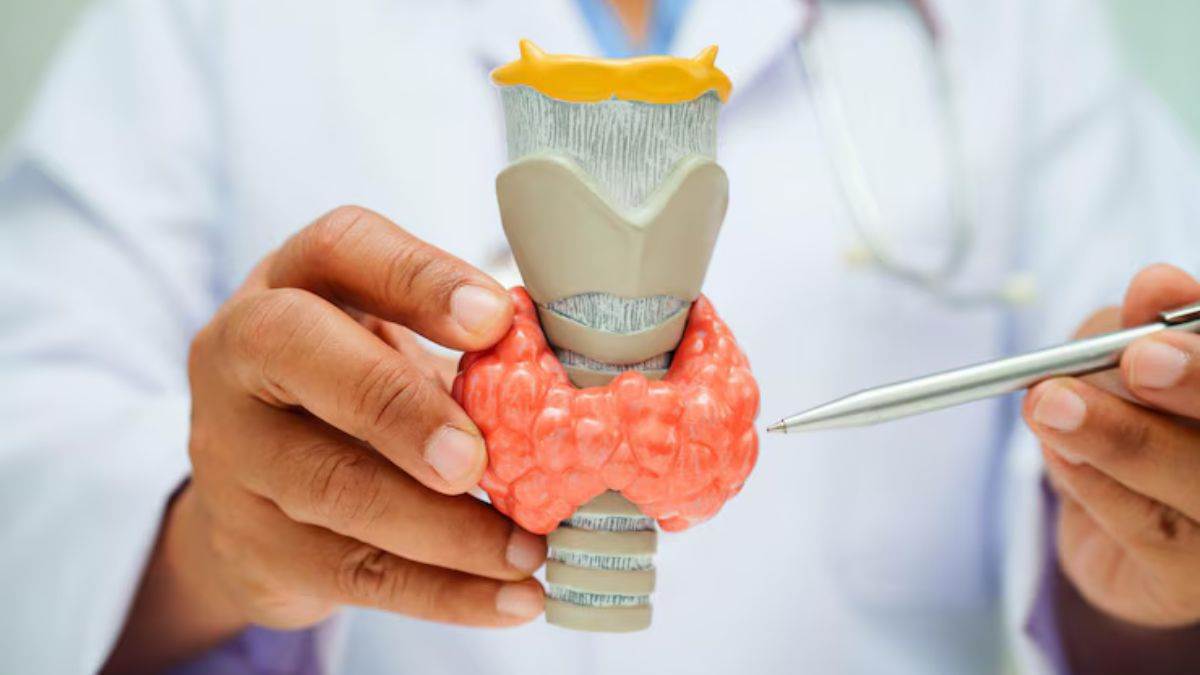 https://www.jagranimages.com/images/newimg/24052025/24_05_2025-world_thyroid_day_2025_23946011.jpg
