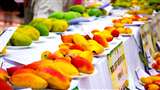 Mango Festival In Lucknow: लखनऊ में सात जुलाई तक चलेगा आम महोत्सव।