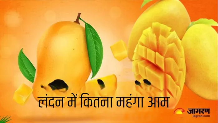 लंदन में क्या चल रहा है आम का दाम, सुन कर रह जाएंगे हैरान