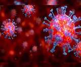 कोरोना पॉजिटिव होने के बाद भी 4 दिन तक घर में रहा भूली का युवक, स्वास्थ्य विभाग पर लगाए गंभीर आरोप Dhanbad News