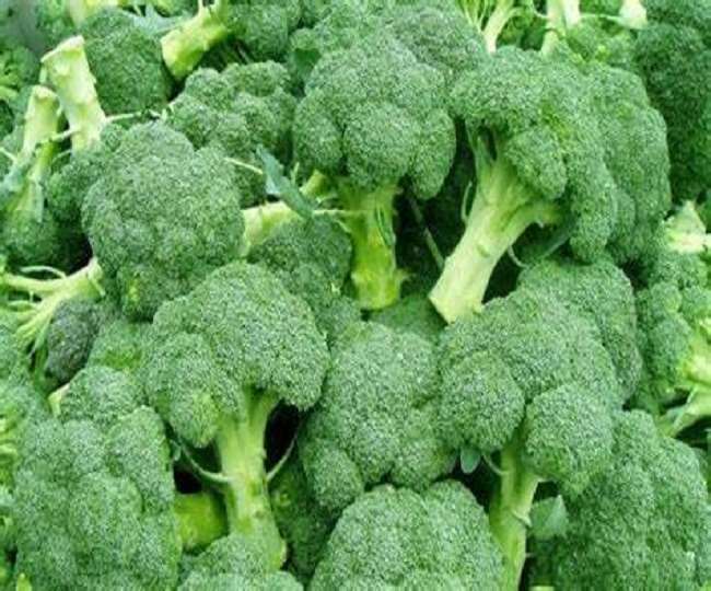 Broccoli Price 1Kg in Punjab ब्रोकली ने मारी डबल सेंचुरी, छोटी मंडियों