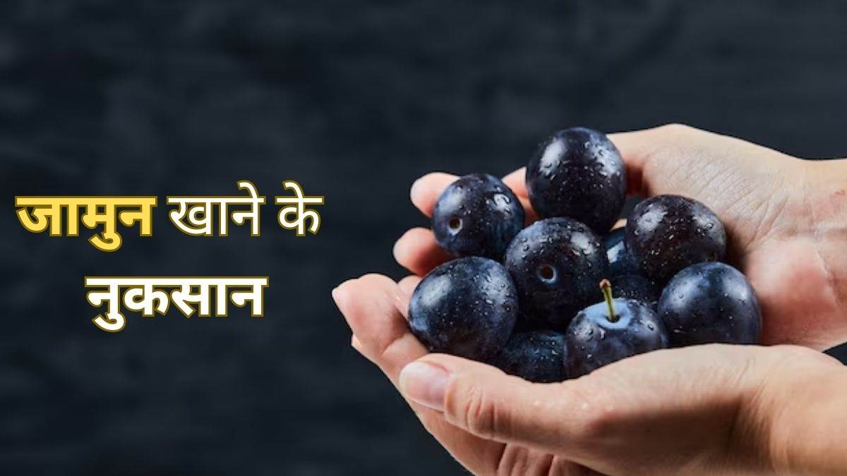 Jamun Side Effects अगर आप भी खाते हैं ज्यादा जामुन, तो जान लें इससे