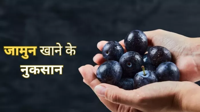 Jamun Side Effects: ज्यादा जामुन खाना सेहत के लिए हो सकता है खतरनाक