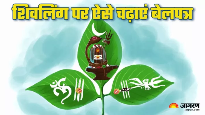 Sawan 2024 शिवलिंग पर ऐसे चढ़ाएं बेलपत्र। (Picture Credit: Freepik)