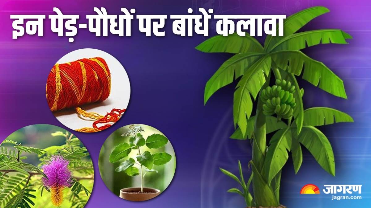 https://www.jagranimages.com/images/newimg/24072024/24_07_2024-kalawa_bandhne_ke_niyam_1_23764632.jpg