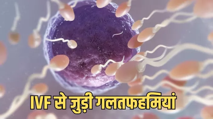 क्या हैं IVF से जुड़े मिथक? (Image Credit- Freepik)