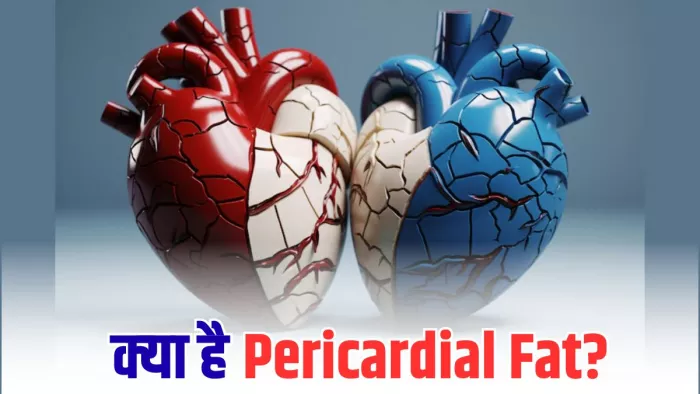 Pericardial Fat से हार्ट फेल्योर का खतरा बढ़ जाता है। (Image Credit- Freepik)