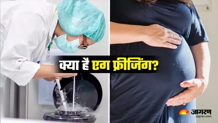 World IVF Day 2025: क्या आप भी सोच रही हैं एग फ्रीजिंग बारे में? (Image Source: Freepik)