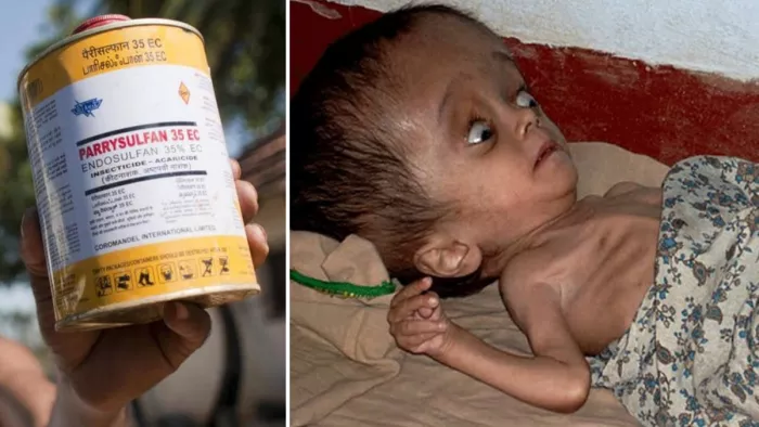 भारत एक समय एंडोसल्फान का सबसे बड़ा उत्पादक और उपभोक्ता था