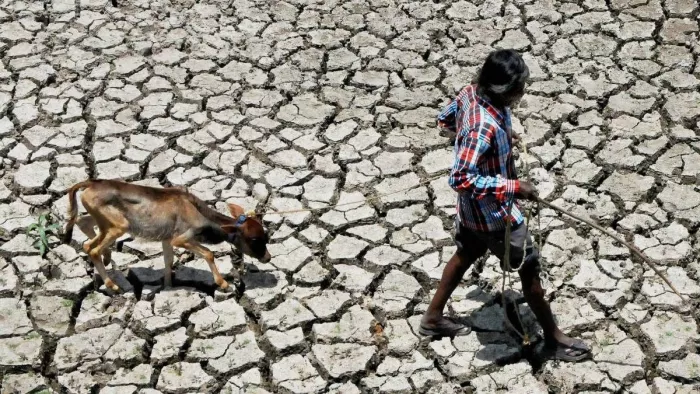 केंद्र सरकार ने मांगी नौ जिलों की स्थिति की रिपोर्ट। (प्रतीकात्मक फोटो)