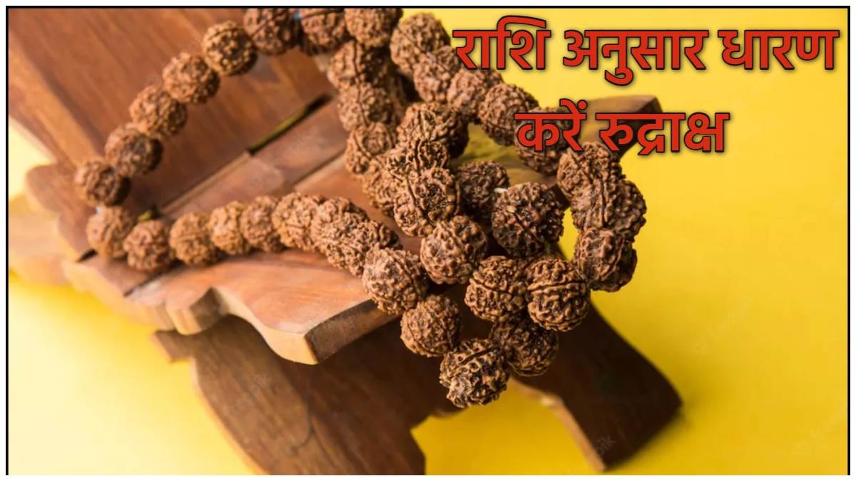 Rudraksh ke Niyam अपनी राशि के अनुसार धारण करें रुद्राक्ष, मिलता है विशेष लाभ Rudraksh ke