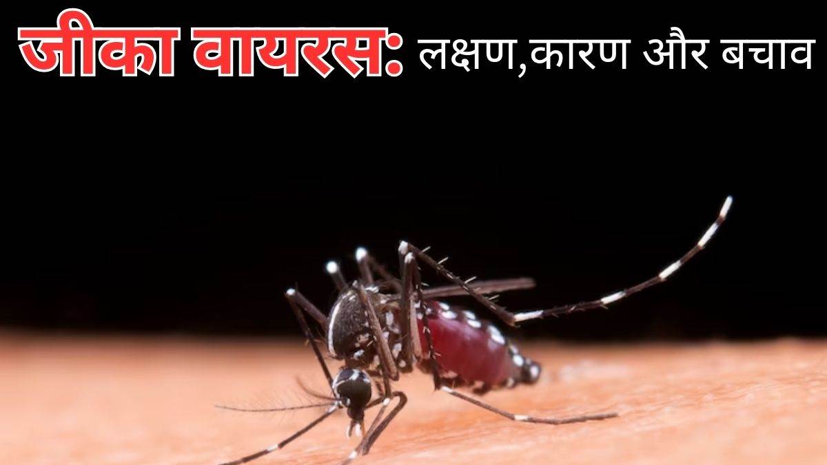 https://www.jagranimages.com/images/newimg/24082023/24_08_2023-zika_23510700.jpg